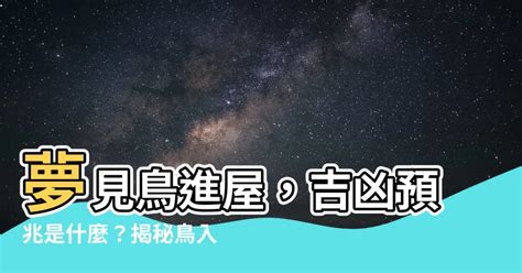 夢見鳥飛進家裡號碼|夢見鳥飛進家裡